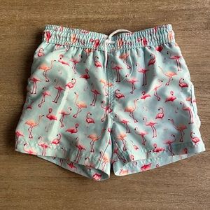 Janie and Jack toddler swim trunks